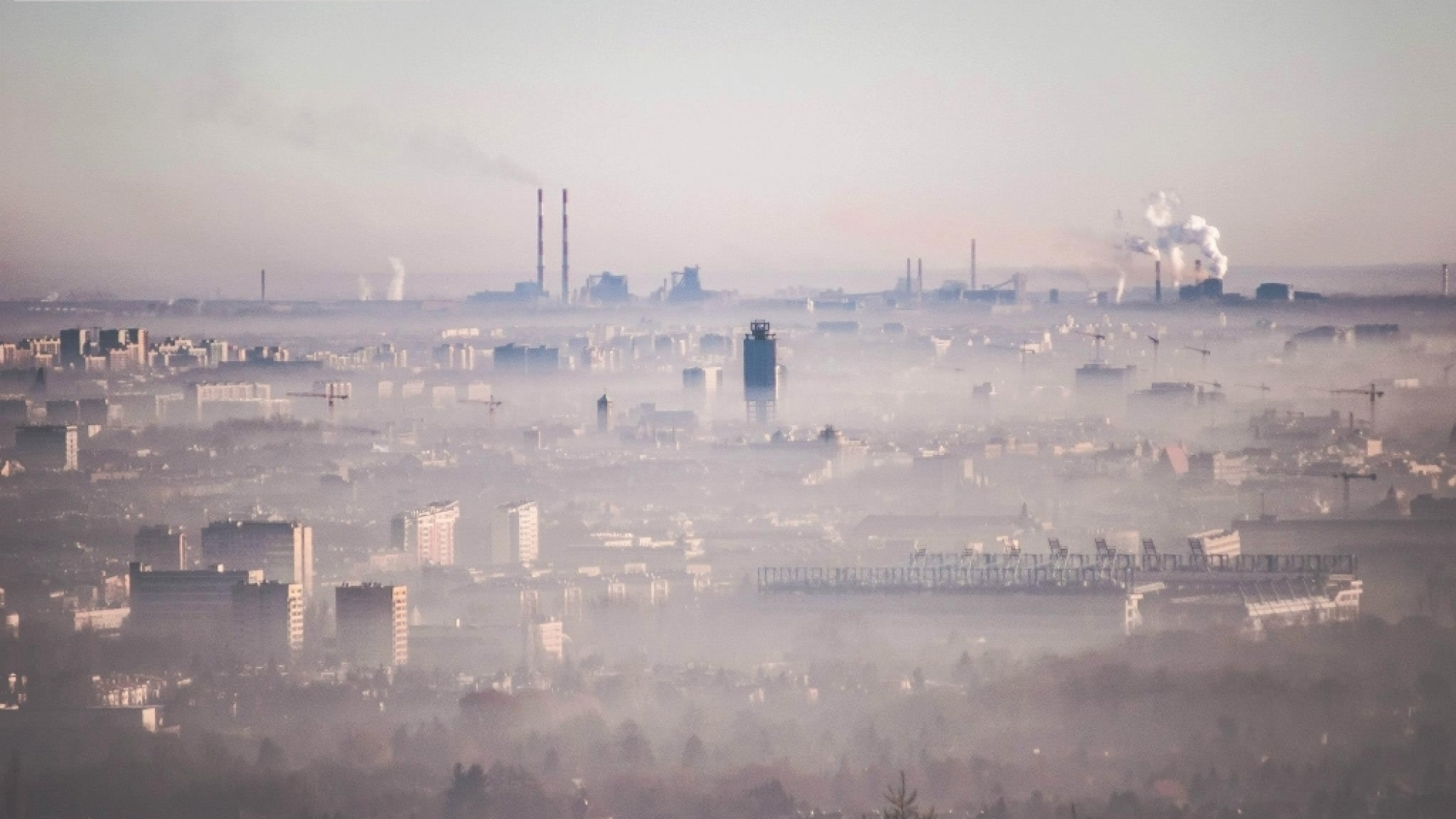Kraków ma jedno z najwyższych poziomów zanieczyszczeń w Europie, głównie właśnie przez niskie emisje. Zdjęcie dzięki uprzejmości www.brudnykrakow.wordpress.com, autor: ERIK